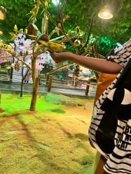 -酷嗒动物文化乐园(cutezoo西溪乐天城店)