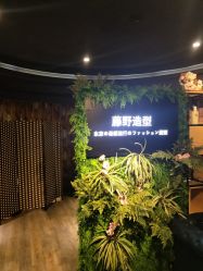 点击看大图 -藤野造型