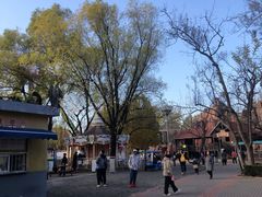 -朝阳公园游乐园