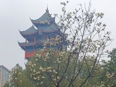 -塔子山公园