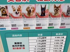 -瑞派康怡24h宠物医院·犬猫医疗中心·微创绝育(瑞景分院)