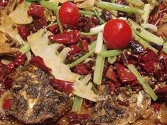 -老板恋上鱼(恒隆广场店)