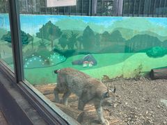 -昆明动物园