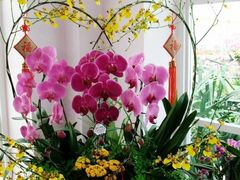 -马路边边串串香(双井直营店)