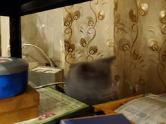 -吱咖啡西式简餐