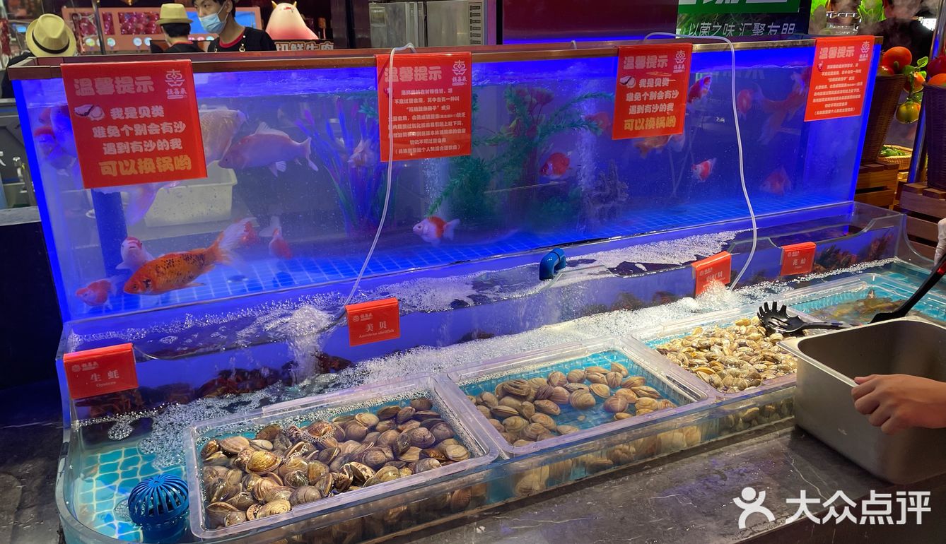 国芳天街新开自助餐 推荐推荐