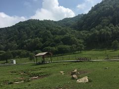 -大水川景区
