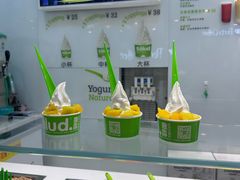 -Salud撒露欧洲冻酸奶(蓝色港湾店)