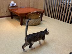 -屋里家延边朝鲜族冷面(南园店)
