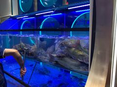 -鱼酷活鱼烤鱼(恒隆广场店)