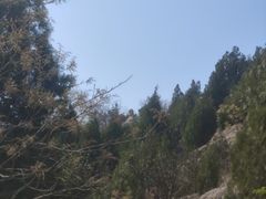 -涂山风景区