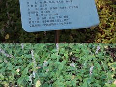 -广东中医药博物馆