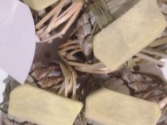 -渔夫蒸鲜(世奥湾店)