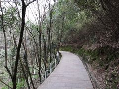 -云碧峰国家森林公园