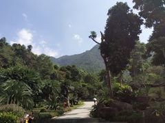 -深圳仙湖植物园-停车场