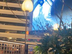 -桂满陇·海市蜃楼·黑金(国金店)