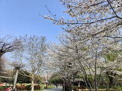 -玉山公园