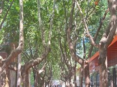 -西安电影制片厂