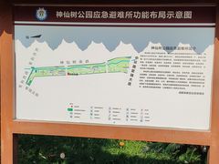 -神仙树公园