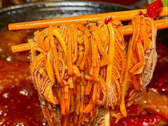 -小龙坎火锅(春熙太古里店)