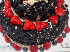 -维尔纳斯·生日蛋糕·动物奶油冰淇淋蛋糕(六里桥店)