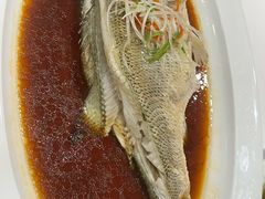 -眉州东坡(团结湖店)