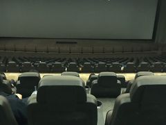 -天幕新彩云国际影城(激光巨幕店)