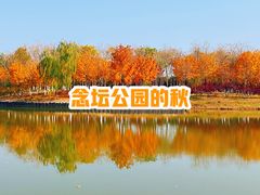 -大兴滨河森林公园