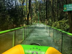 -贵州森林野生动物园