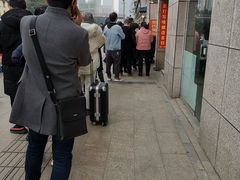 -邓氏兔头