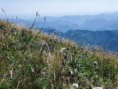 -白草畔自然风景区