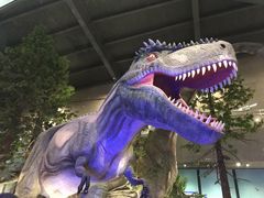 -湖南省地质博物馆