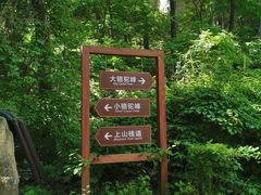 -大岭沟猕猴桃谷风景区