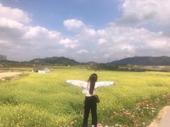-光明小镇欢乐田园