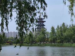-洋湖国家湿地公园