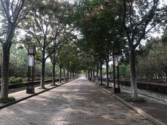 -洛阳市隋唐城遗址植物园