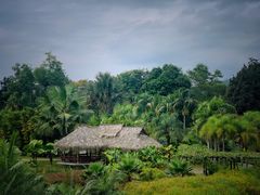 -中国科学院西双版纳热带植物园