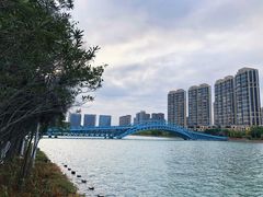 -五缘湾湿地公园