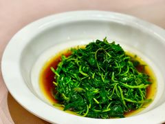 枸杞苗-名豪品鲜荟(云亭店)