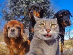 -Blueglass酸奶(财富购物中心店)