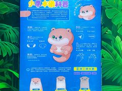 -海合安成都极地海洋公园