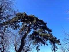 -终南山南五台景区