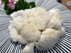 新鲜猴头菇-湯系·煲汤手艺人(东二环泰禾广场店)