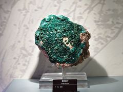 -甘肃地质博物馆