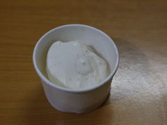 鲜椰子雪糕-歎雪糕低糖低脂Gelato冰淇淋