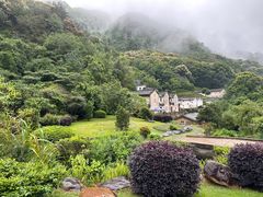 -雁南飞茶田景区