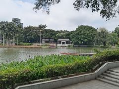 -荔湾湖公园