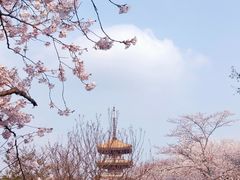 -东湖磨山景区