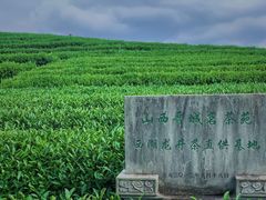 -龙坞茶村