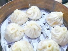 -莱莱小笼·乔艾